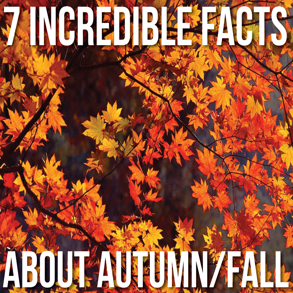 7 Incredible Facts About Autumn Fall 7-incredible-facts-about-autumn-fall