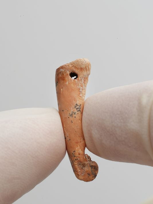 Ice, Ice Baby: 30,000 year-old Ice Age Jewelry Found in Indonesia
