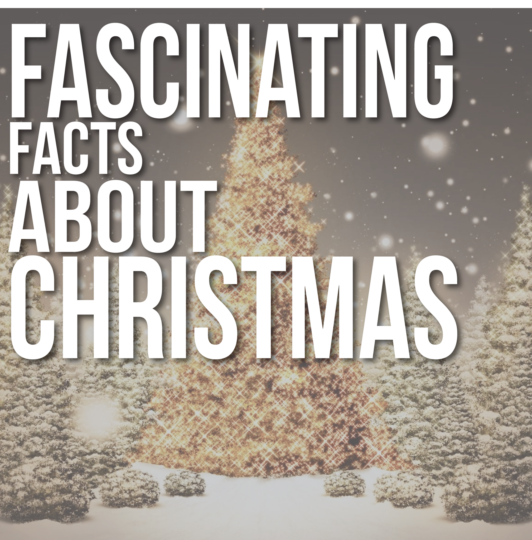 10 Fascinating Facts about Christmas
