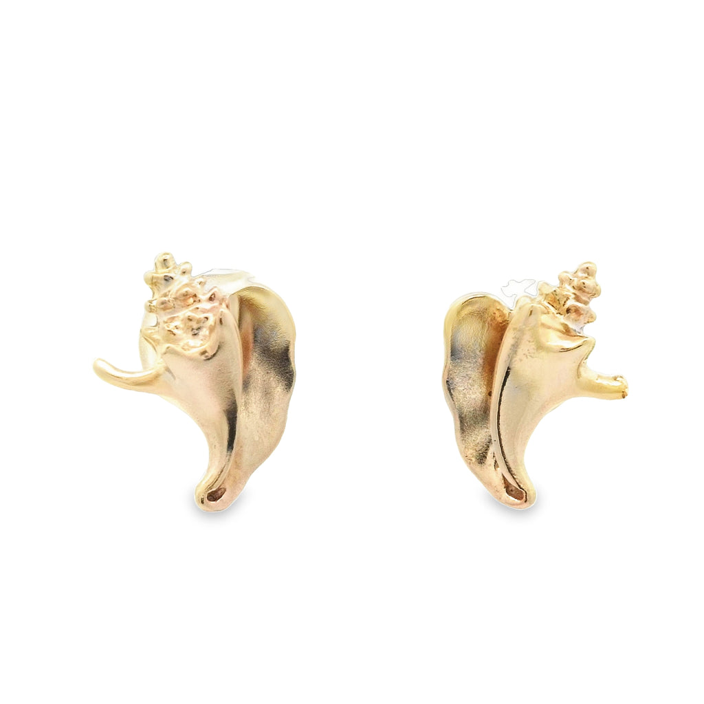 14k Yellow Gold Conch Post Earrings