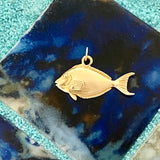 14k Yellow Gold Tang Fish Pendant